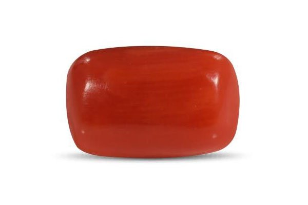 Red Coral (Moonga)